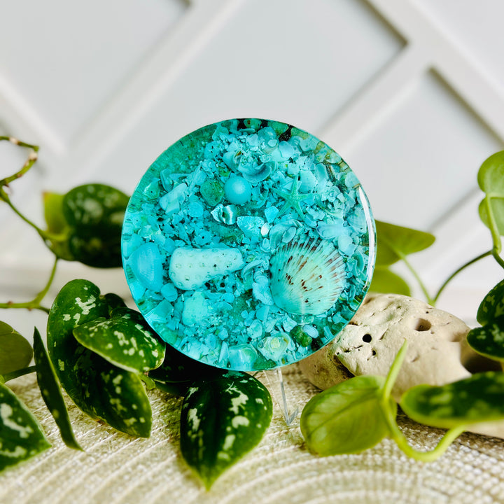 Aqua Seabed Coasters | Paperweight