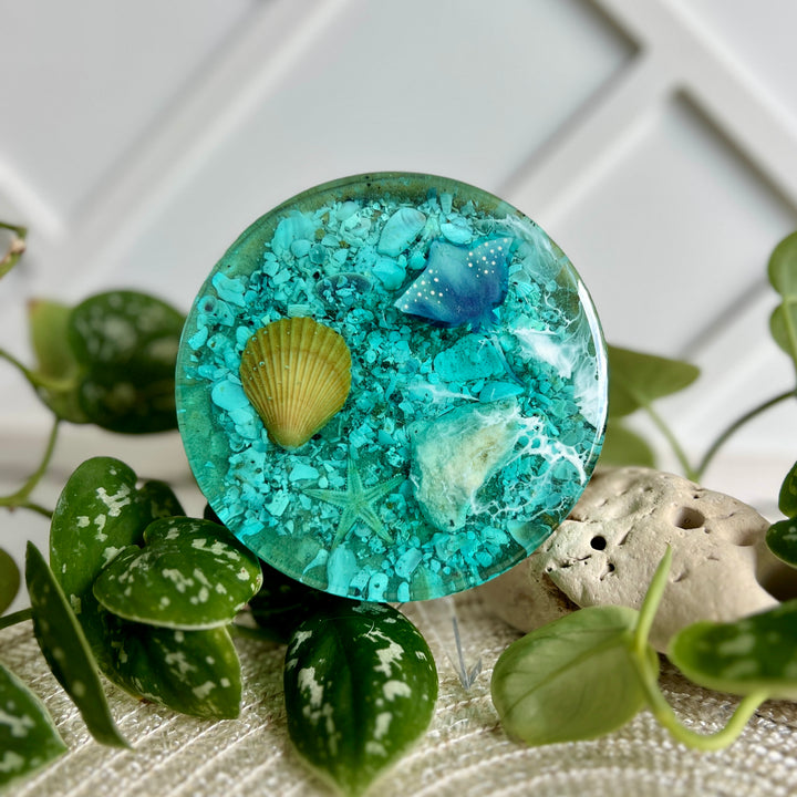 Aqua Seabed Coasters | Paperweight