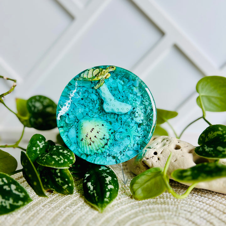 Aqua Seabed Coasters | Paperweight