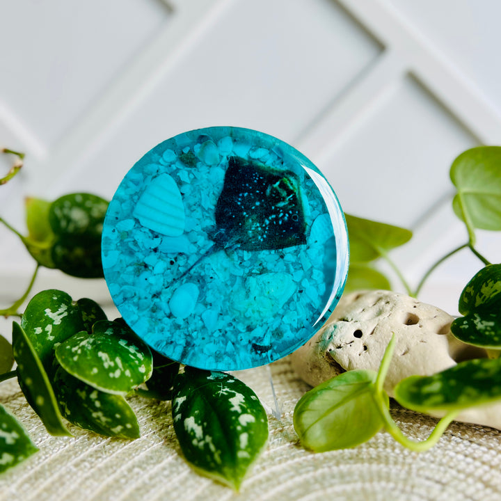 Aqua Seabed Coasters | Paperweight