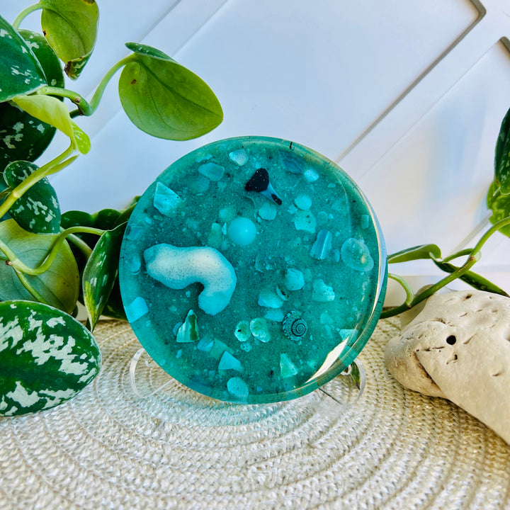 Aqua Seabed Coasters | Paperweight