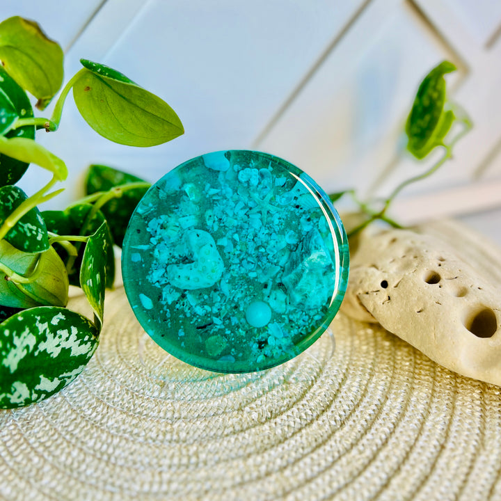 Aqua Seabed Coasters | Paperweight